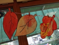 scoperta_Autunno_5.jpg