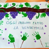 vendemmia_1.jpg