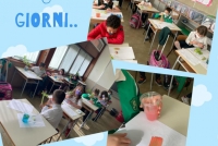 viaggio_linfa_4.jpg