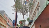 marco_riggio_11.jpg