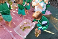 vendemmia_3.jpg
